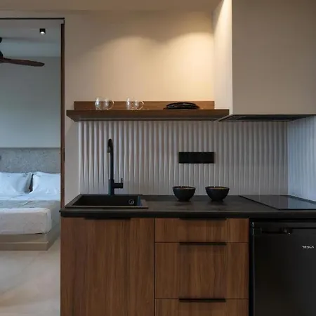 בית נופש Alexis Olympus