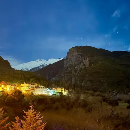 Alexis Olympus * ליטוחורון