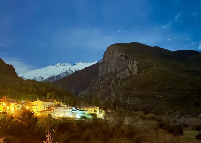 Alexis Olympus * ליטוחורון